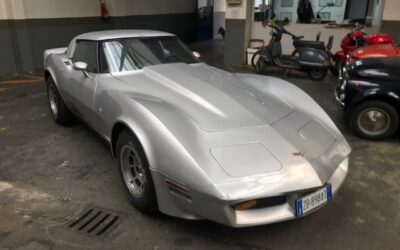 CHEVROLET CORVETTE C3 5.7 DEL 1979